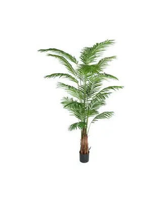 Produktfoto för Mr Plant, Areca Palm 240 cm