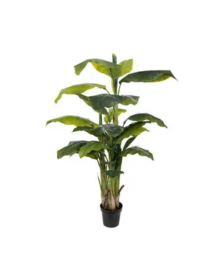 Produktfoto för Mr Plant, Bananträd 150 cm