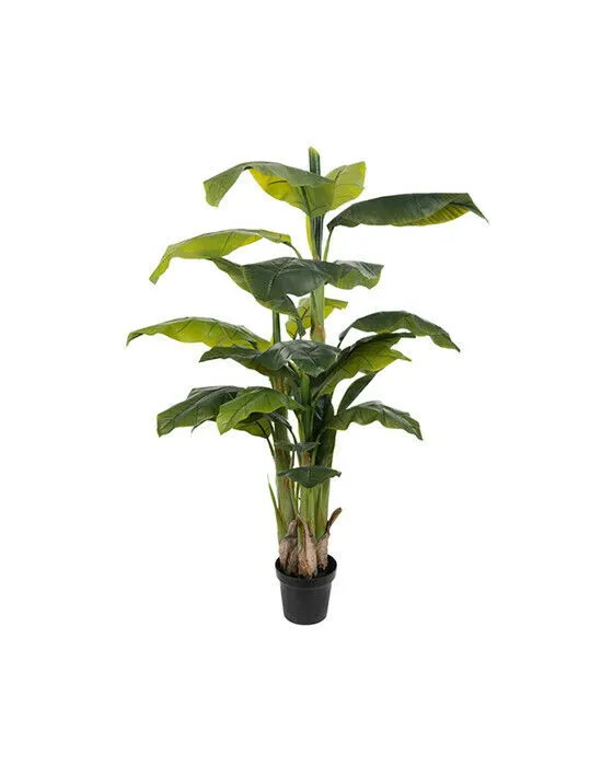 Bild 1 för Mr Plant, Bananträd 150 cm