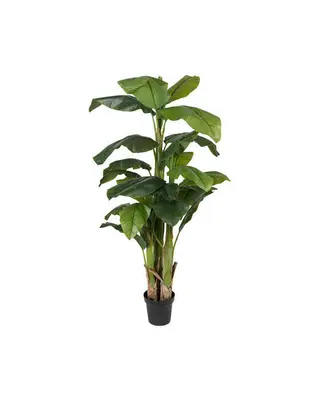 Produktfoto för Mr Plant, Bananträd 240 cm