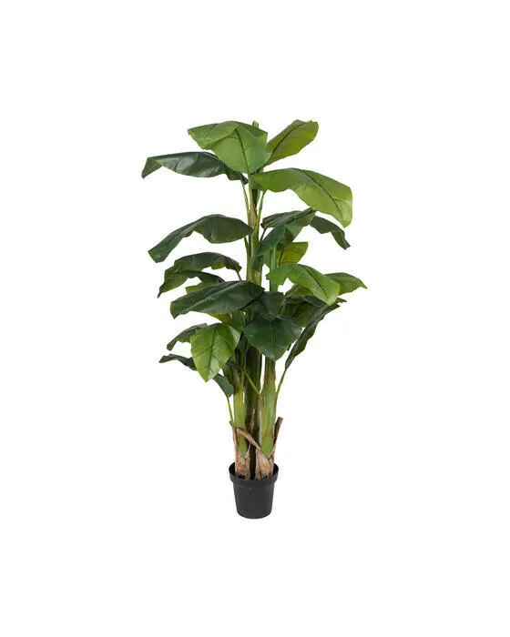 Bild 1 för Mr Plant, Bananträd 240 cm
