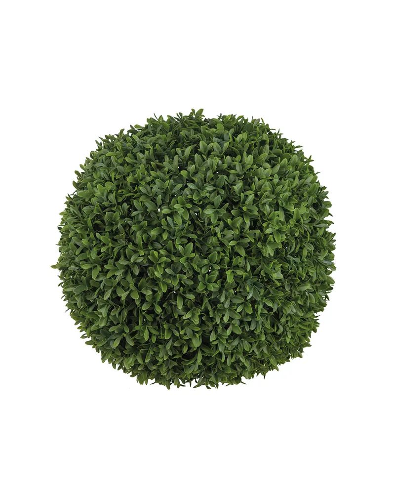 Bild 2 för Mr Plant, Buxbom Boll Grön 60 cm