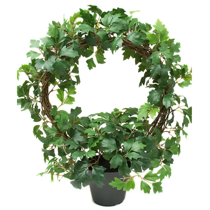 Alternativ bild 0 för Mr Plant, Cissus Krukväxt 45 cm