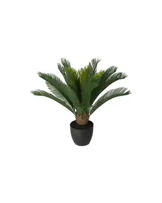 Produktfoto för Mr Plant, Cycas Krukväxt 70 cm