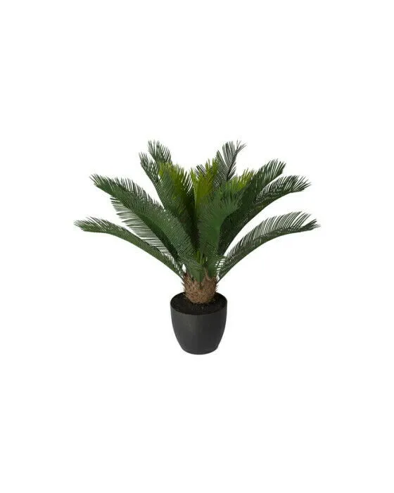 Bild 1 för Mr Plant, Cycas Krukväxt 70 cm