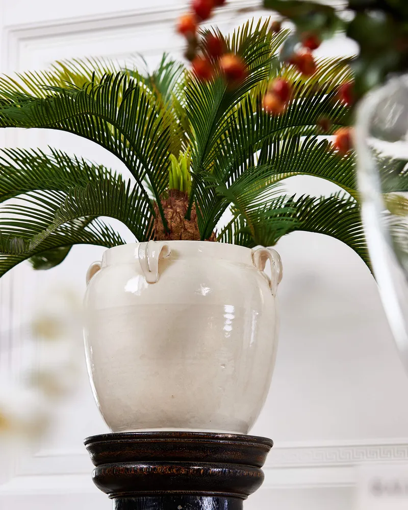 Bild 2 för Mr Plant, Cycas Krukväxt 70 cm