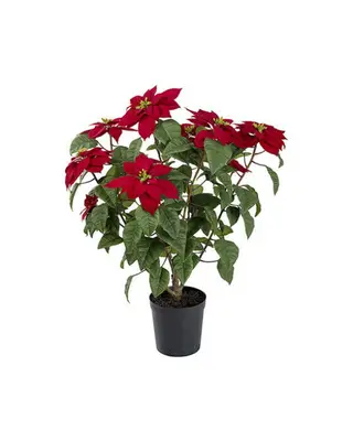 Produktfoto för Mr Plant, Julstjärna 70 cm Röd