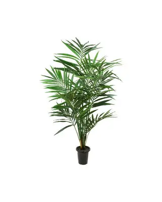 Produktfoto för Mr Plant, Kentia Palm 120 cm