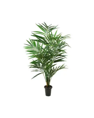 Produktfoto för Mr Plant, Kentia Palm 180 cm