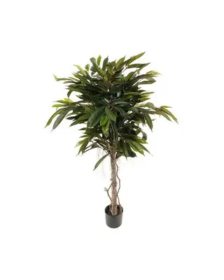 Produktfoto för Mr Plant, Longifoliaträd 150 cm