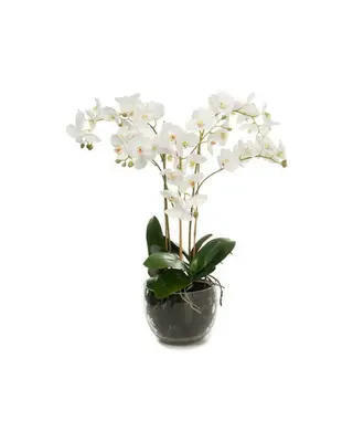 Produktfoto för Mr Plant, Phalaenopsis Orkidée 70 cm Vit