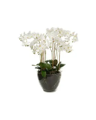 Produktfoto för Mr Plant, Phalaenopsis Orkidée 90 cm Vit