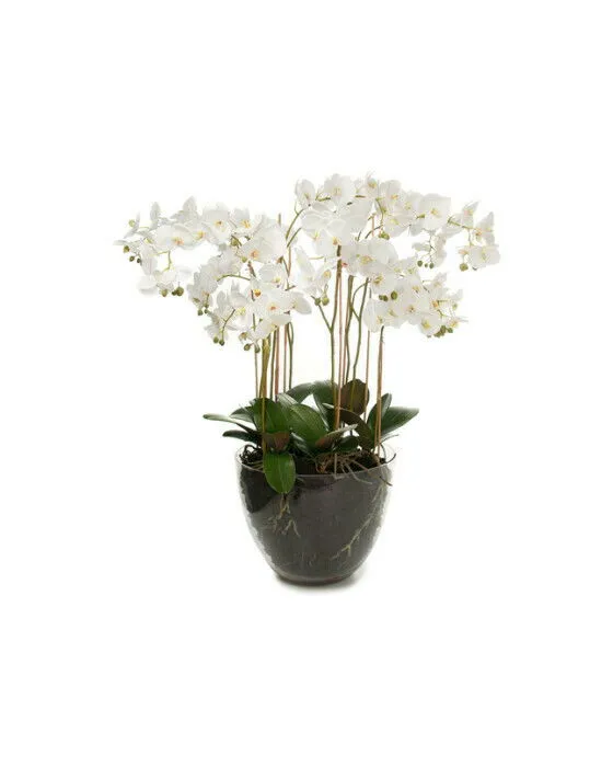 Bild 1 för Mr Plant, Phalaenopsis Orkidée 90 cm Vit