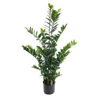 Produktfoto för Mr Plant, Zamifolia Krukväxt 130 cm