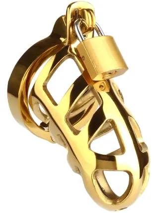 Produktfoto för Mr Steel: Brutal Chastity Cage, guld