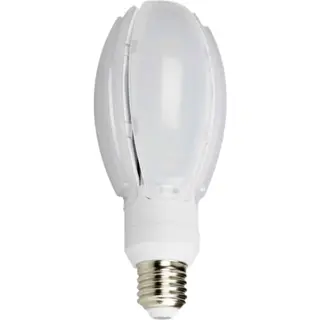 Produktfoto för NASC LED Oval Gårdslampa 24W E27 4000K
