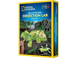 Produktfoto för National Geographic Gecko Dissection Lab