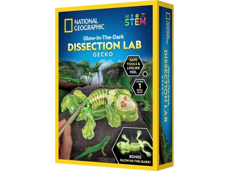 Alternativ bild 0 för National Geographic Gecko Dissection Lab