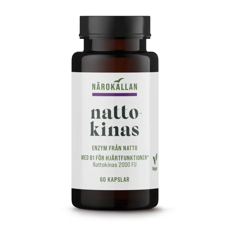 Bild 1 för Nattokinas