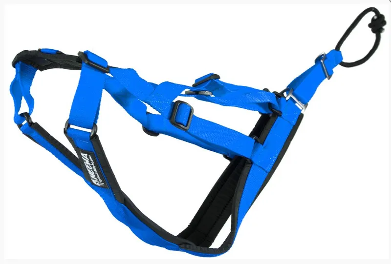 Bild 2 för Neewa Sled Dog - X-Back Yellow