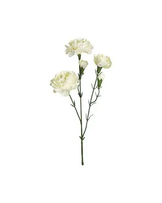Produktfoto för Nejlika snittblomma vit