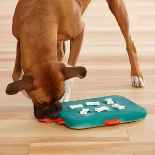 Produktfoto för Nina Ottosson Dog Casino Turkos