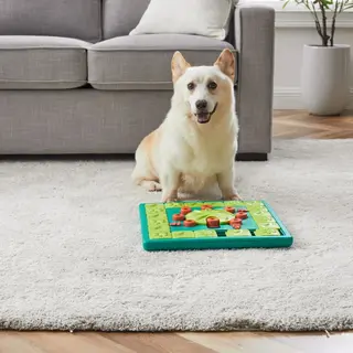 Produktfoto för Nina Ottosson Dog Multi Puzzle Grön