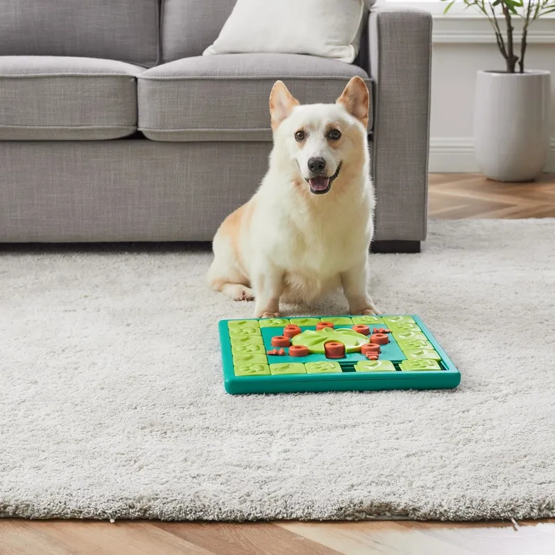Bild 1 för Nina Ottosson Dog Multi Puzzle Grön