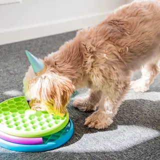 Produktfoto för Nina Ottosson Lickin' Layers Slow Feeder Hundpussel