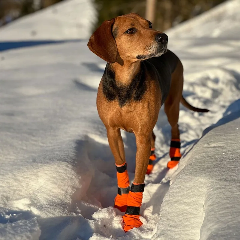 Bild 1 för Non-stop dogwear Contact Bootie High