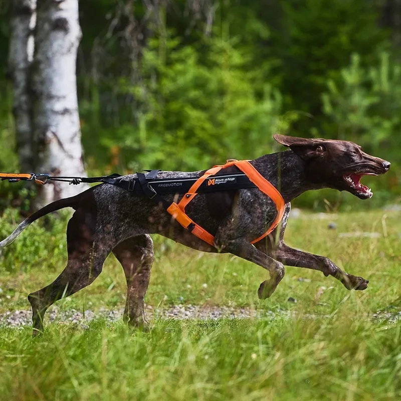Bild 1 för Non-Stop Dogwear Freemotion 5.0 Dragsele Orange & Svart (6)