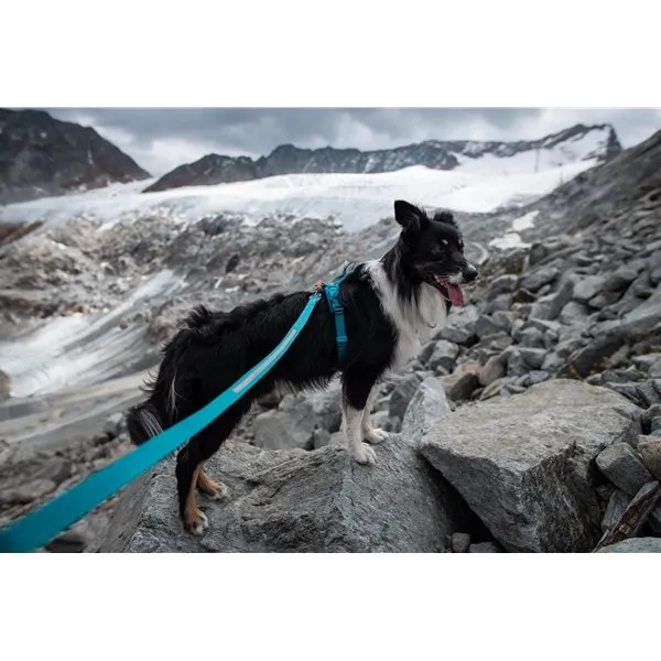 Bild 2 för Non-stop dogwear Line Harness 5.0