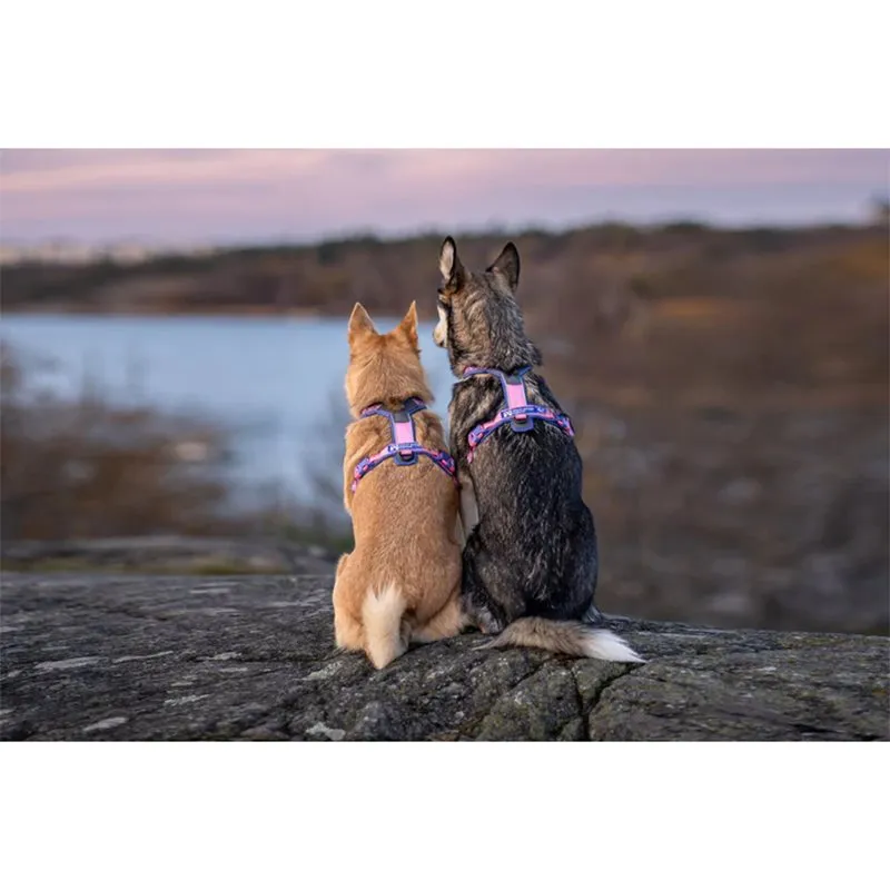Bild 2 för Non-stop Dogwear Line Rachel Pohl 5.0 Hundsele Rosa/Lila (2)