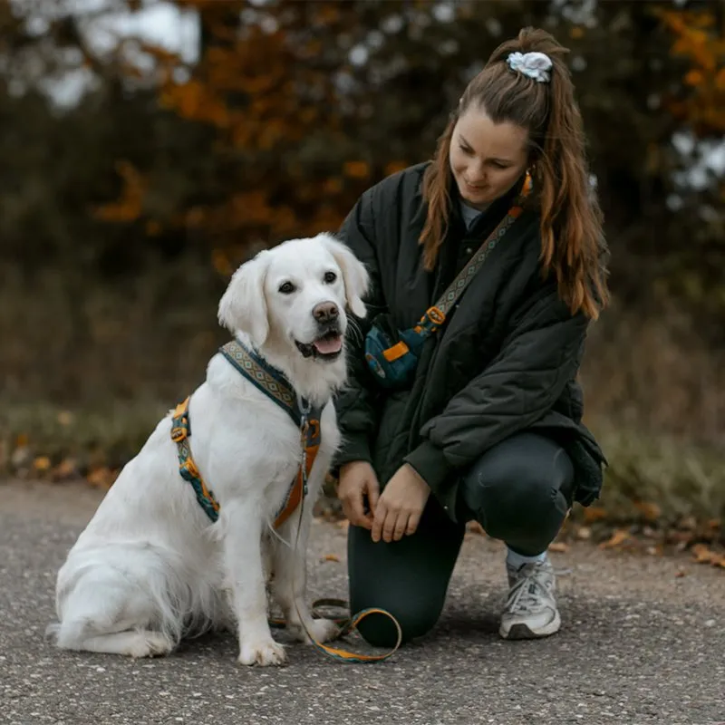Bild 2 för Non-stop Dogwear Line Trail Quest Rachel Pohl Hundsele 5.0 Brun/Svart (7)