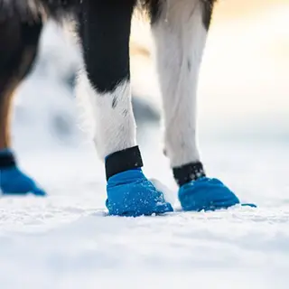 Produktfoto för Non-stop dogwear Long Distance Booties 4Pk Blue