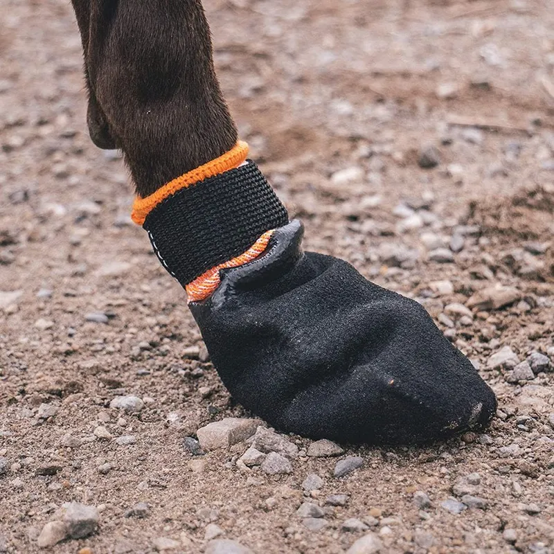 Bild 2 för Non-Stop Dogwear Protector Bootie Hundstrumpa Svart & Orange 4-pack (XL)