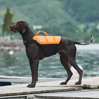 Produktfoto för Non-Stop Dogwear Protector Flytväst till Hund Orange & Svart (6)