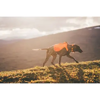 Produktfoto för Non-stop dogwear Protector Vest GPS