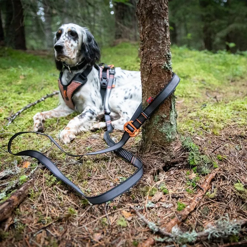Bild 2 för Non-stop dogwear Touring Bungee Adjustable