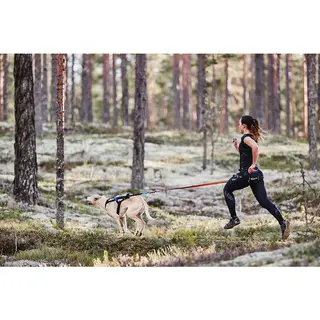 Produktfoto för Non-stop dogwear Touring Bungee Leash 2.0m