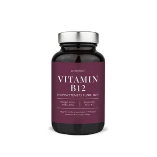 Produktfoto för Nordbo B12 90 kapslar