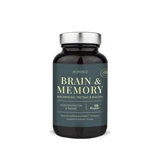 Produktfoto för Nordbo Brain & Memory Magnesium 90 kapslar