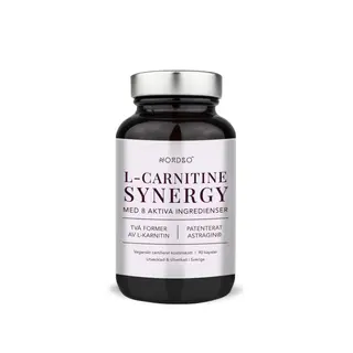Produktfoto för Nordbo L-Carnitine Synergy 90 kapslar