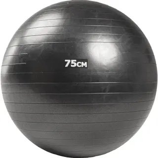 Produktfoto för Nordic Fighter Pilatesboll 75 cm, Gymboll