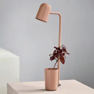 Produktfoto för Northern - Buddy Bordslampa Warm Beige