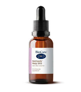 Produktfoto för Nutrisorb Flytande Metyl B12