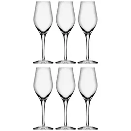 Produktfoto för Orrefors Sense Champagneglas 25,5 cl 6-pack
