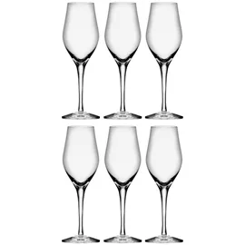 Alternativ bild 0 för Orrefors Sense Champagneglas 25,5 cl 6-pack
