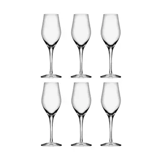 Produktfoto för Orrefors Sense Champagneglas 25,5 cl 6-pack