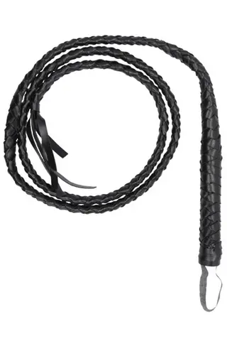 Produktfoto för Ouch!: Twisted Whip